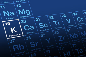 Potassium on periodic table of the elements. Alkali metal with symbol K from Neo-Latin kalium, and with atomic number 19. Essential for all living cells. Good sources are fresh fruits and vegetables.
