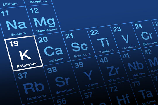 Potassium on periodic table of the elements. Alkali metal with symbol K from Neo-Latin kalium, and with atomic number 19. Essential for all living cells. Good sources are fresh fruits and vegetables.