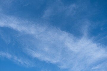 Fototapeta premium fluffy cirrus clouds in the blue sky