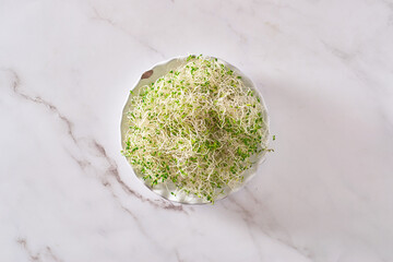 Sprouted alfalfa seeds on a marble table.