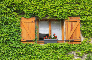 hiedra ventana fachada cubrir pueblo país vasco 4M0A8212-as22