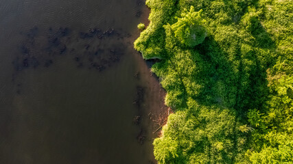 River bank seen from above, Vistula, Poland
