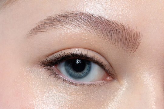 Close-up of make-up blue eye with beautiful eyebrow shape
