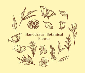 Set of hand drawn botanical flower, leaf and branches doodle. Vintage botanical floral illustration.