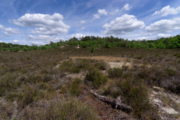 Melun to Vaudoué  path  in the hot valley. Fontainebleau forest