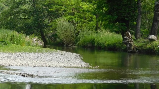 Sandy beach on the left bank of the river