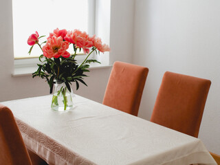 Delicate peonies on the table in the living room. 
Macro peonies, harmony at home