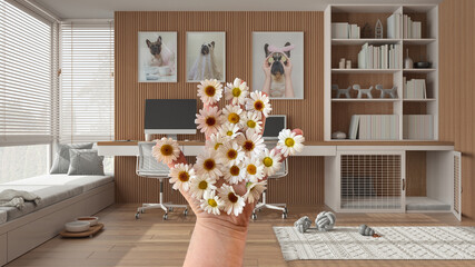 Woman's hand holding daisies, spring and flowers idea, over pet friendly home corner office, desk with chairs, bookshelf, dog bed with gate, carpet with toys, modern interior design