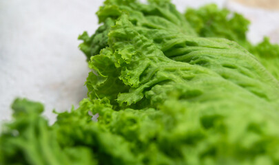 Green lettuce leaves on white paper towel. Green lettuce leaves. Green lettuce leaves close up. Lettuce. Green lettuce. Lettuce leaf. leaf fresh lettuce on white background