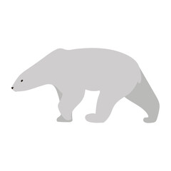 polar bear wild animal