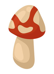 Obraz premium fungus autumn season