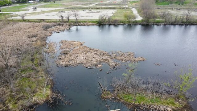Drone descending near a small swampy outlet of water.
