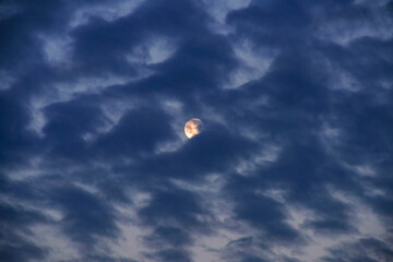 Full moon partly covered with altocumulus clouds, just before the sunrise, almost dawn - obrazy, fototapety, plakaty