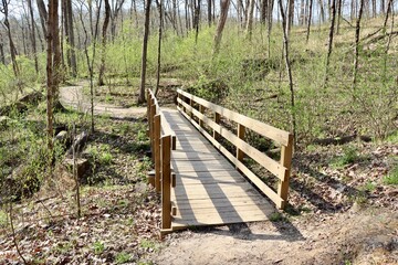 A front view of the wooden bridge on the trail in the woods.