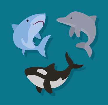 three sealife animals icons