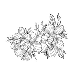 line illustration flora flowers leaves roses