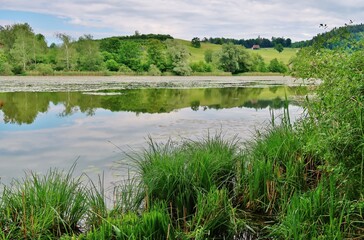 Spiegelung am Bettenauer Weiher, Ostschweiz