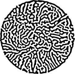 Isolated Abstract Geometric Line Design Element