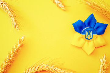 Ukraine flag symbol background. Ukrainian flower trident symbol with wheat grain ear isolated on...