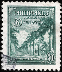 Tropical palm trees on vintage stamp of Philippines