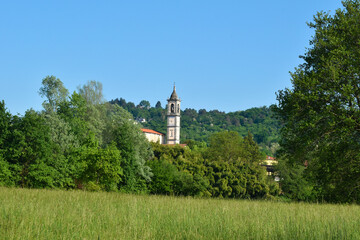 campanile tra gli alberi