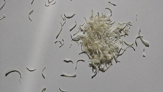 pile of clipped fingernails isolated falling on a white background, coming from someone who is biting his nails due to a feeling of stress, nervousness or worry
