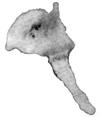 Hand Drawn Isolated Watercolor Wash Texture Element