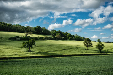 English countryside in summer