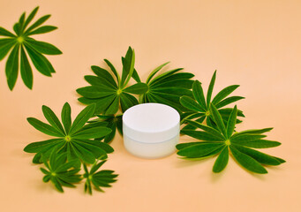 Fototapeta na wymiar A white cosmetic jar on a beige background among green lupine leaves.