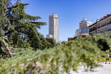 Fototapeta na wymiar Plaza de España. Surroundings of the Plaza de España in Madrid on a clear day with blue sky, in Spain. Green gardens with splendid flowering plants and shrubs in the spring. Europe. Photography.