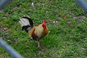 Miami and nyc in summer