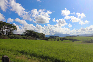 Rural country landscape, nature photography