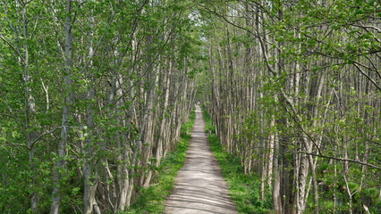 Müritz Nationalpark