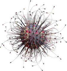 3d Abstract Scientific Organic Cellular Virus Shape