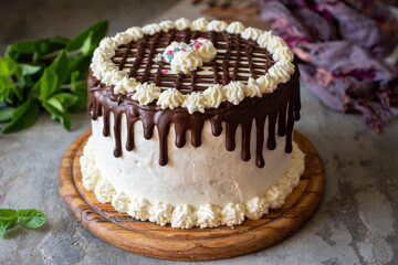 Sweet dessert for the holiday: vanilla cake with chocolate icing on a platter on a gray background. Close-up