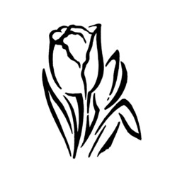 illustration of a flower