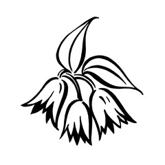 black and white flower