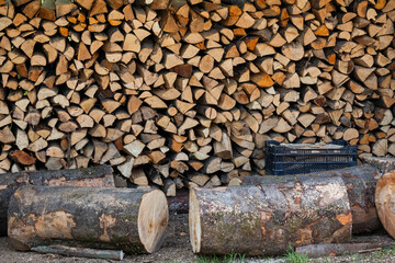 Pile of wood logs storage. Logging for firewood.