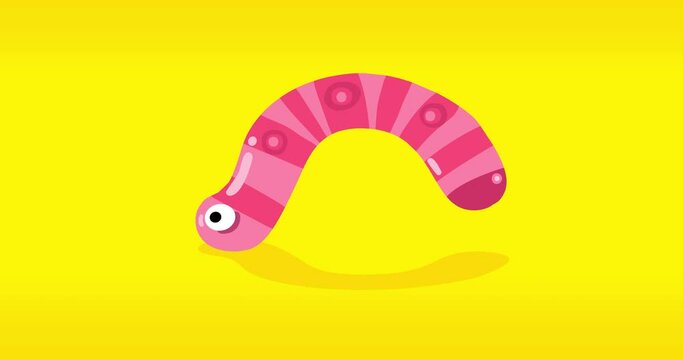 Isolated worm loop cartoon animation two sizes with outline. Pink with many stripes on yellow background. Happy worm with alpha channel. Seamless isolated loop.