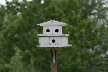 wooden bird house in the park