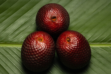 Aguaje is a highly appreciated fruit in the Amazon for its flavor and nutritional properties.