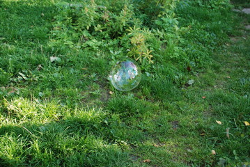 A big soap bubble flies. Above a bright green, short-cut lawn, a large rounded soap bubble flies....
