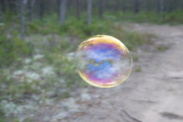 Large soap bubbles in the air. Against the background of a dull brown sandy road, large rounded soap bubbles fly in the forest. On a thin surface, all the colors of the rainbow shimmer.