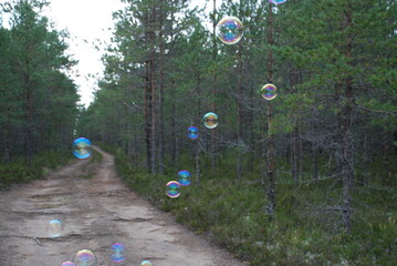Large soap bubbles in the air. Against the background of a dull brown sandy road, large rounded...