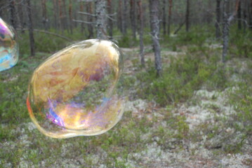 Large soap bubbles in the air. Large elongated rounded soap bubbles fly against the background of green trees. Trees are reflected on surface of the bubble and all the colors of the rainbow shimmer.