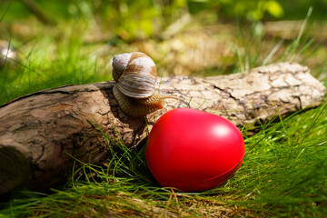 The snail crawls up the tree near the heart, which lies in the grass.