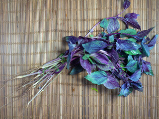 Basil bunches on the table. Greenery from the garden. Plants for food. Salad preparation. Blue...
