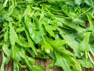 Fototapeta premium Arugula on a wooden surface. Greenery from the garden. Plants for food. Tasty grass. Healthy food preparation.