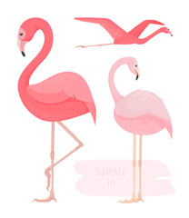 Set of bright pink vector flamingos in different angles. Profile of tropical bird stands on one paw. Flight. Back view. Flat decorative elements. Wild nature. Cartoon character. Jungle Inhabitant. Zoo