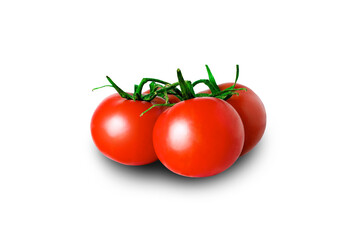 Tomatoes on the Vine with a clipping path, isolated on white. The image is in full focus, front to back. High quality photo